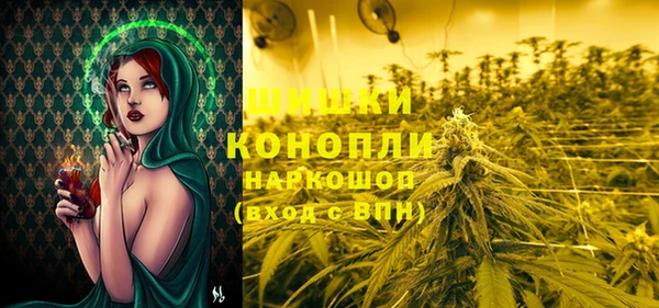 ECSTASY Новокубанск