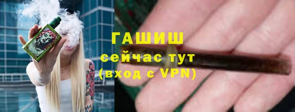 стафф Новозыбков