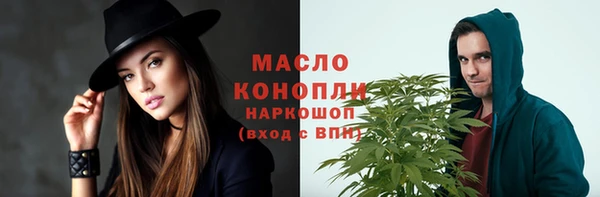 первитин Новодвинск