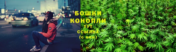 первитин Новодвинск