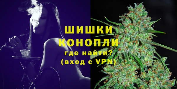 стафф Новозыбков