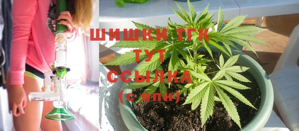 первитин Новодвинск