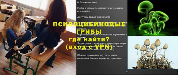 первитин Новодвинск