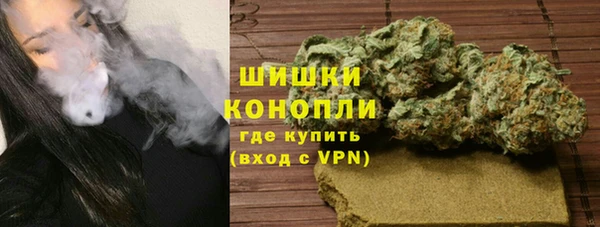 первитин Новодвинск