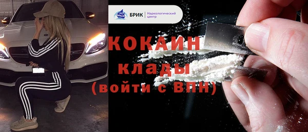 первитин Новодвинск